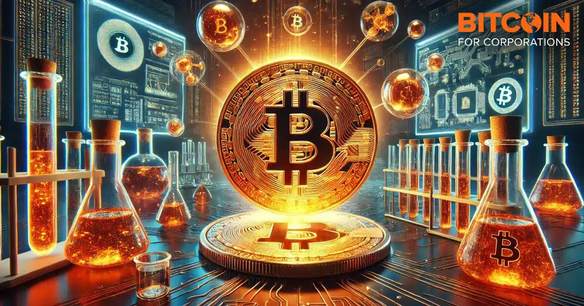 ビットコイン・トレジャリー企業の業績、どう測る？