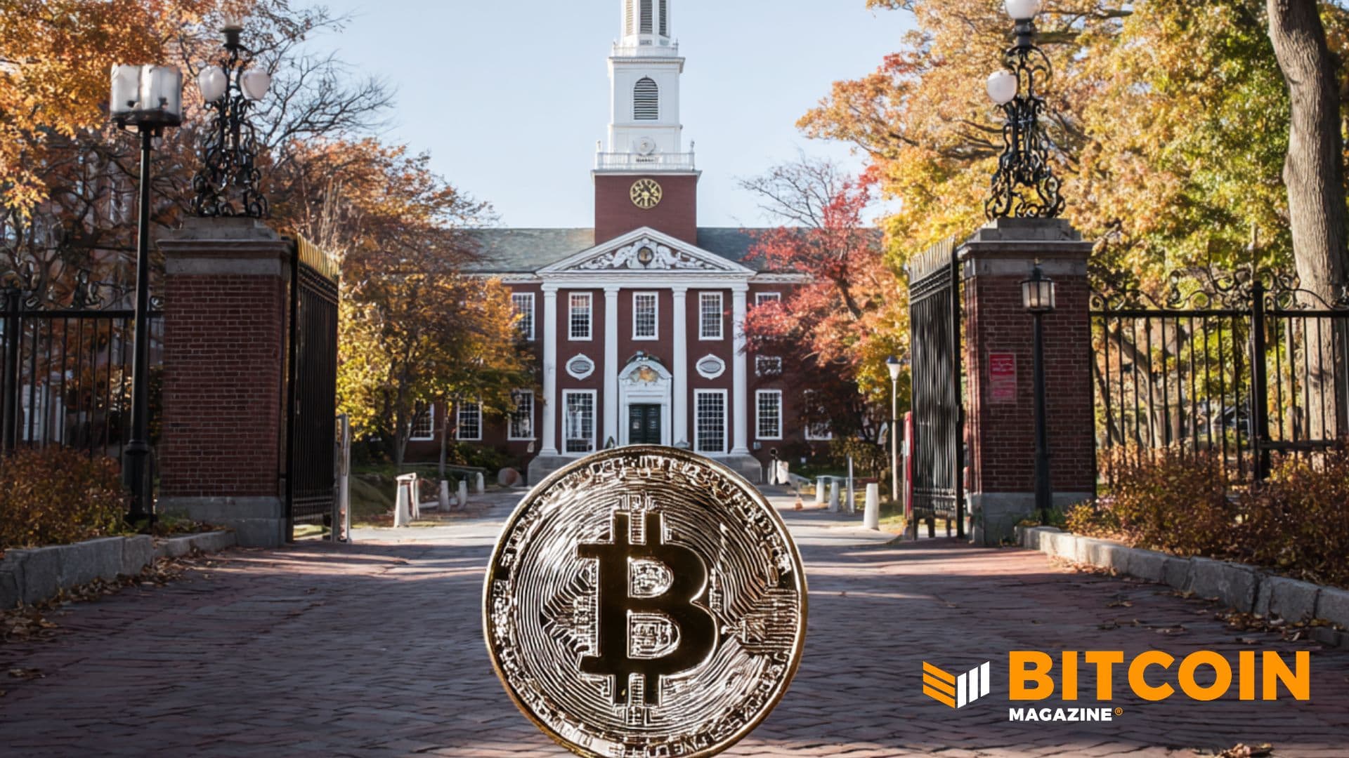 デジタルゴールドへの「疑念」か、戦略的リバランスか。ハーバード大学、ビットコイン保有量21%削減の真意