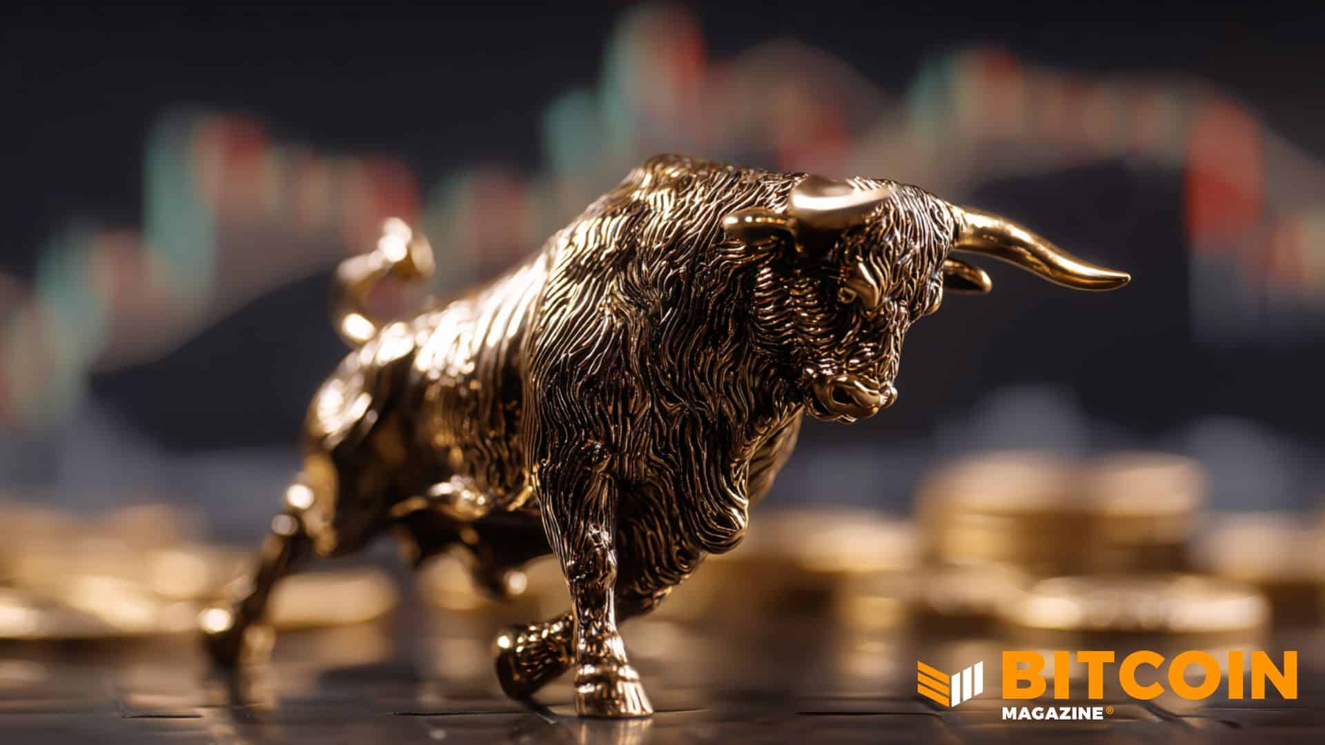ビットコインの保有基盤が成熟　個人依存から脱却とアナリストが分析