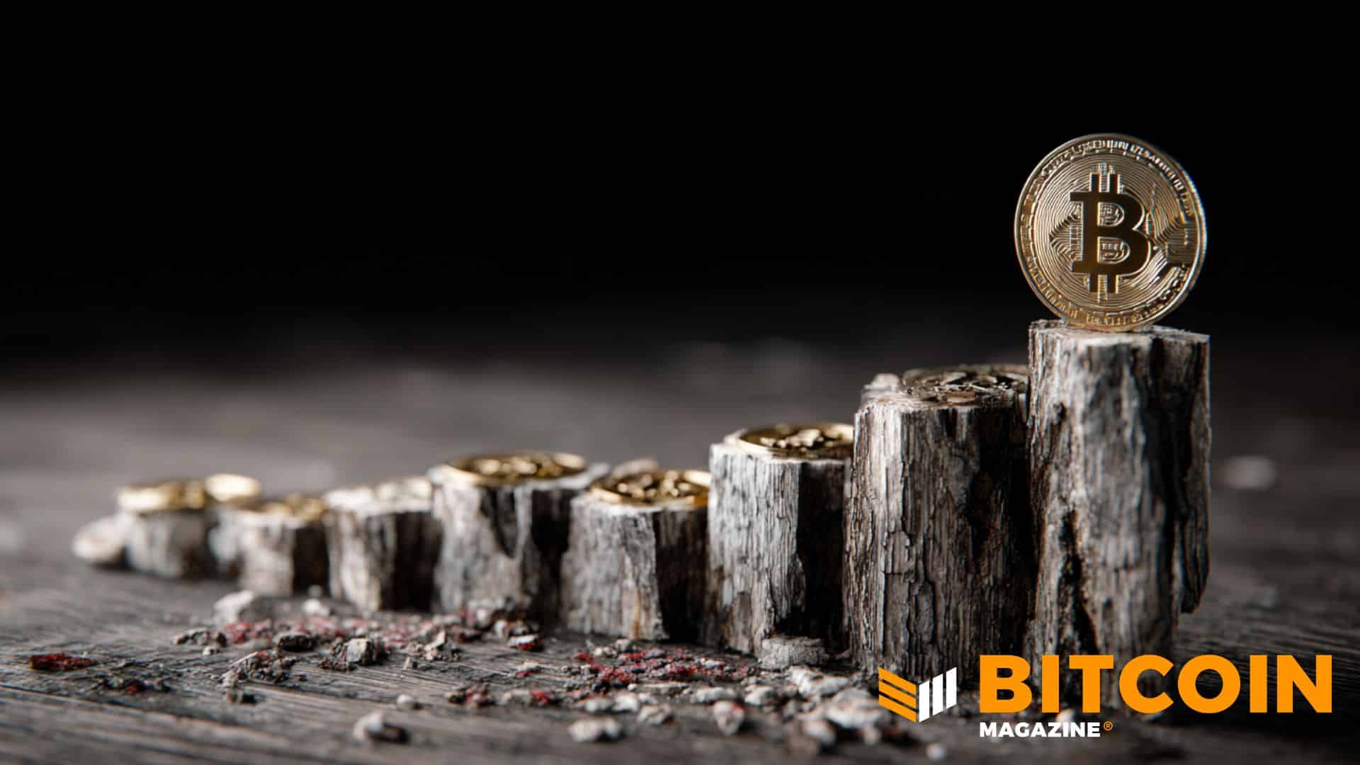 ビットコイン、半減期サイクルの中間地点を通過　2028年に向けて供給が逼迫